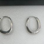 Small Oval Silver Hoop Earrings for Women Photo 0