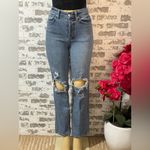 Wild Fable Blue Distressed Flare Jeans Photo 2