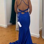 Ellie Wilde Prom Dress Photo 1