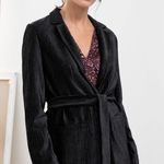 & Other Stories & Other Stories Tie Belt Velour Blazer SIZE 6 Photo 0