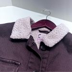 Stoosh  Chocolate Teddy Jacket with Ivory Collar Photo 5