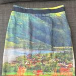 Anthropologie  Meadow Rue River School Skirt Photo 0