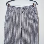 Briggs New York Briggs Blue Striped Linen Blend Pants Sz Large Preppy Blue Stripe Pants Photo 3