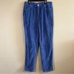 BDG ✨  Urban Outfitters Corduroy Mom High Rise Pants Blue 28 Photo 1