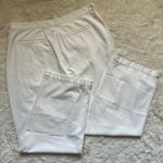 Madewell Jeans The Harlow Wide-Leg Baggy Straight in Tile White 33 NWT New Photo 4