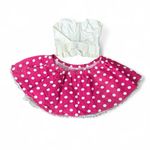 Victoria's Secret Raspberry Shortcake Halloween Costume Photo 2