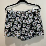 American Apparel  Black Daisy High Waisted Cuff Shorts Size 30 Photo 2