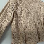 ZARA  Nude Lace Sheer Floral Blouse Top Size Small Elegant And Sexy Photo 2
