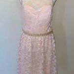 Nordstrom Love Nickie Lew nude lace sleeveless midi formal dress Photo 0