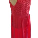 Allison Brittney Sleeveless Fit & Flare Lace Dress Photo 3