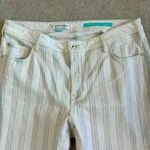 Anthropologie Anthro Pilcro And The Letterpress Striped High Rise Slim Cropped Pants Size 16W Photo 2