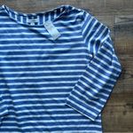 Free Assembly Womens Blue/White Boatneck Mini Stripes Long Sleeve Dress Sz M NWT Blue Size M Photo 1