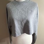 Socialite NWT gray crop sweatshirt medium Photo 1
