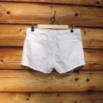 J Brand  Cut Off Distressed Vixen Shorts Photo 5