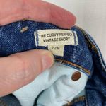 Madewell The Curvy Perfect Vintage Short Sz.22W Photo 8