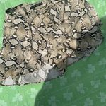 ZARA Brown & Black Skorts with Belt Size M Photo 1