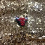 Shoe Charms Bulls Photo 0