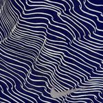 Nike  Black & White Dri-Fit Running Shorts Sz Sm Photo 3