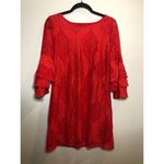 Boutique  Lace Bell Ruffle Sleeve Small Miami Photo 15