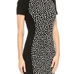 Tory Burch Womens Pony Dot Merino Wool Leopard Gemma Sweater Dress Black Size XS Photo 0