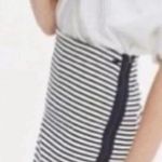 Madewell | Classic Preppy Eventide Stripped Side Zip Pencil Skirt Size S Small Photo 1