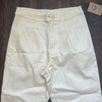 Twill Pleated Pant in Linen Photo 2