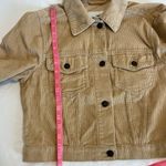 Hollister Corduroy Fall Lightweight Short Button Down Jacket Tan Size Medium Photo 4