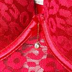 NWT Spree Intimates Pink Lace Sheer Mesh Push Photo 3