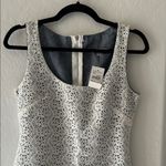 Velvet Torch  Black and White Patterned Mini Dress Photo 1