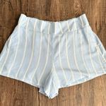 Emily McCarthy Hampton Stripe Everyday Shorts Size L Photo 3