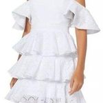 Caroline Constas Irene Ruffle Tiered Off Shoulder White Eyelet Mini Dress Size 4 Photo 0