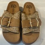 FANTASY SANDALS Tan and Gold Comfort Sandals with Metallic Straps Size 8 Photo 1