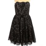 Robert Rodriguez  Black Lace Strapless Fit Flare Mini Cocktail Dress Size 8 Photo 4