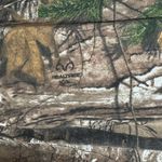 Browning  Women M Wasatch Long Sleeve Camouflage Pink Buckmark Camo Hunt Active Photo 3