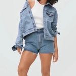 Everlane Medium Wash Size 32 The Way High Denim Cut Off Shorts Photo 0