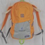 Patagonia Unisex Orange & Grey Day Backpack Photo 0