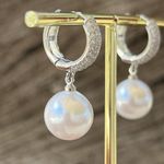 Anthropologie 925 Silver Plated Drop Earrings Elegant Zircon stainless steel Photo 1