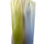 Echo Gradient Chiffon Scarf For Women Photo 0