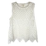 Deletta Anthropologie  Medium Lacework Top White‎ Sheer Sleeveless Cami Tank 1163 Photo 3