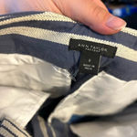 Ann Taylor  STRIPED PREPPY SHORTS Photo 3