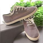 Toms  grey Carmel canvas lace up sneaker size 8.5 NWOT Photo 0