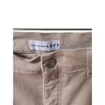 Loft Corduroy Pants Photo 4