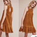 Maeve  Sleeveless Lace Mini Dress in burnt orange Photo 1