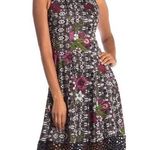 Donna Ricco NWT  Black Wine Floral Scuba Dress New Photo 0