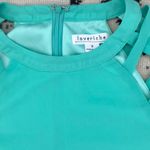 Love Riche Mint caged arm swing dress Photo 1