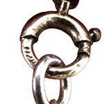 Vintage Amber & Shell Heishi Bead Necklace Photo 4