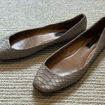 Ann Taylor  Light Tan Snakeskin Ballet Flats 9 Photo 0