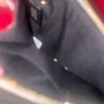 Coach  Butterfly Keychain Pouch Photo 2