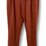 Garnet Hill  Easy Everyday Knit Pants Women's Small Rust Pull On Trousers Casual Photo 0