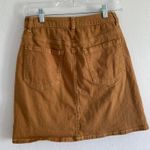 Francesca's  Burnt Orange Skirt Photo 0